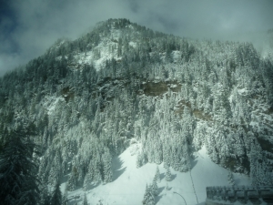 bilder-buchholz-4-jpg