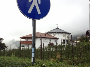 bilder-vroni-166-jpg