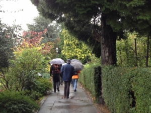 bilder-vroni-174-jpg