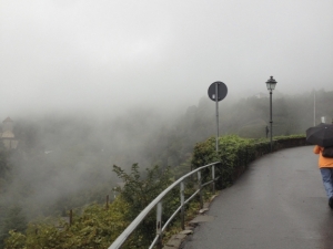 bilder-vroni-184-jpg