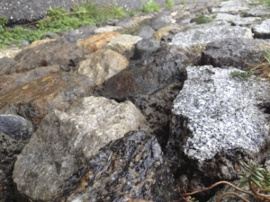 bilder-vroni-188-jpg