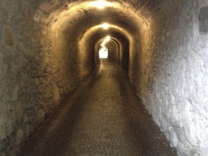 bilder-vroni-199-jpg