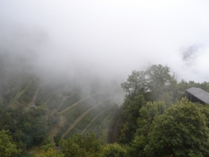 bilder-vroni-231-jpg