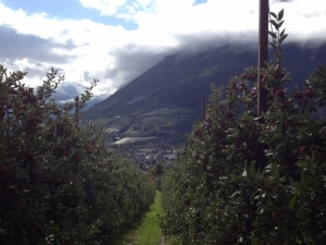 bilder-vroni-267-jpg