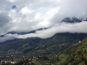 bilder-vroni-293-jpg