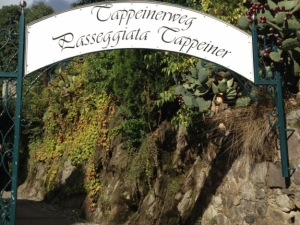 bilder-vroni-298-jpg