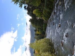 bilder-vroni-300-jpg