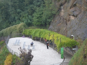 bilder-vroni-336-jpg