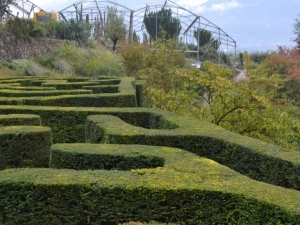 bilder-vroni-382-jpg